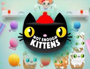 Pin Up 306-un ən şirin və pozitiv slot oyunlarından biri — Not Enough Kittens